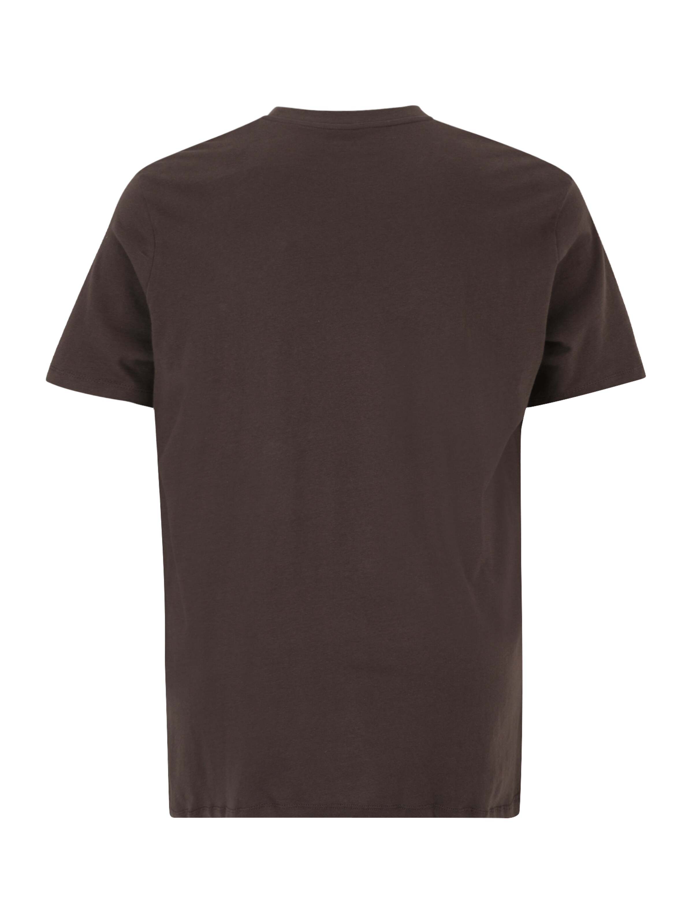 Jack & Jones Plus Μπλουζάκι 'JJEBradley' σε καφέ
