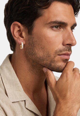 Boucles d'oreilles 'Pelle' Heideman en or : devant