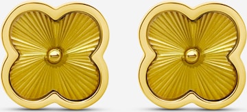 Pure Schmuck Ohrringe 'Clover Bright' in Gold: Vorderseite
