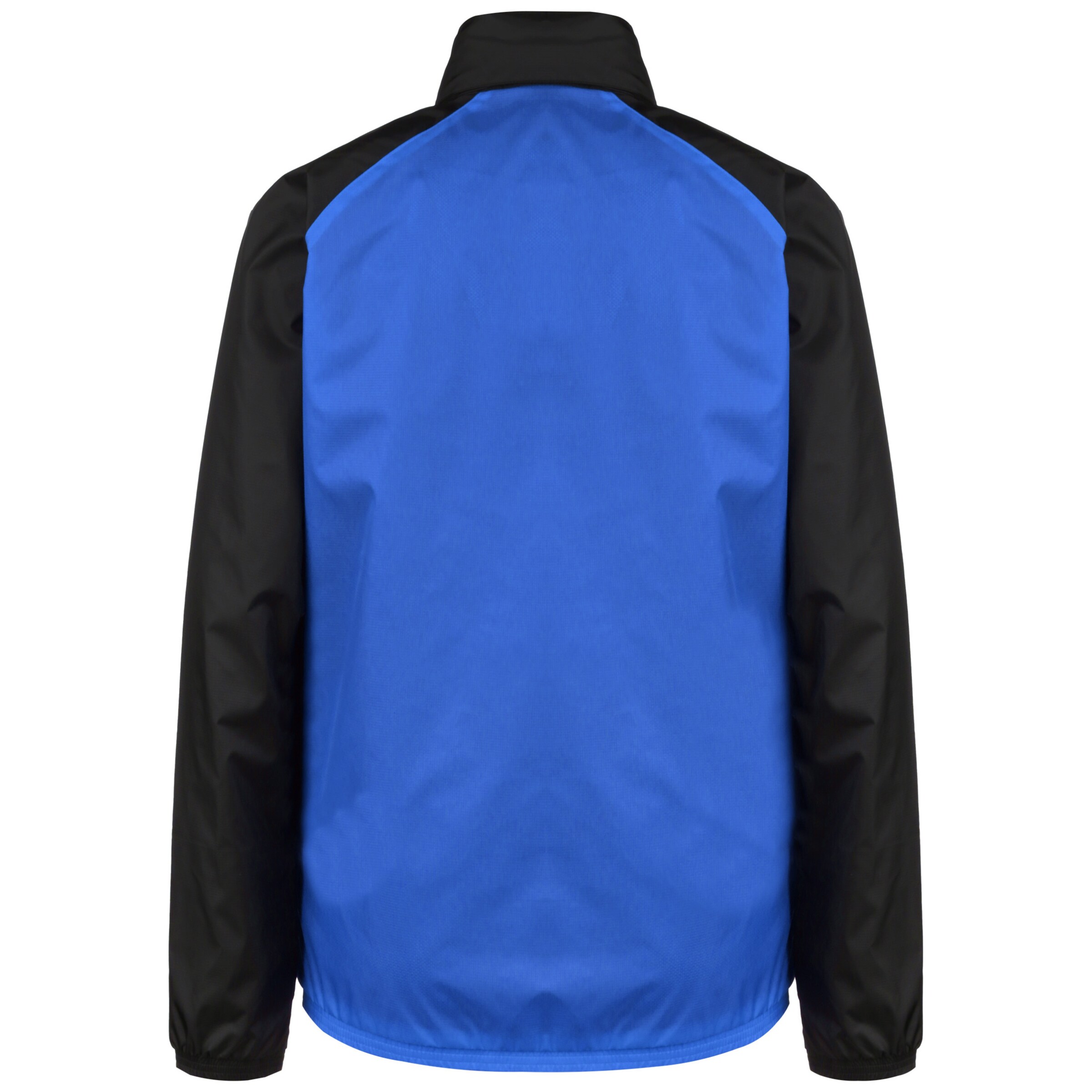 PUMA Athletic Jacket 'TeamLiga' in Blue