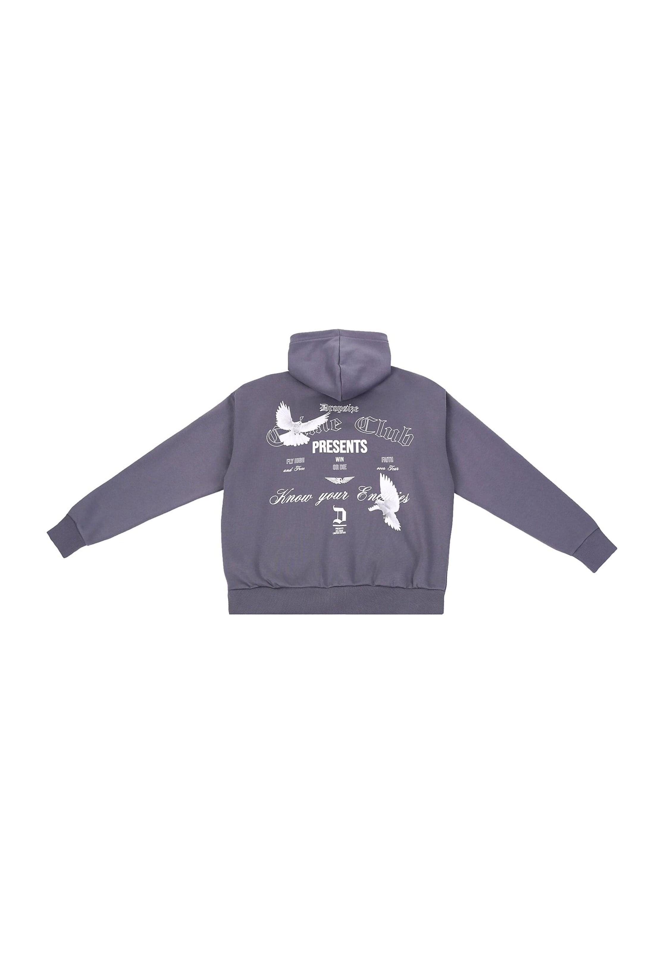 Dropsize Sweatshirt 'Enemies' in Grey
