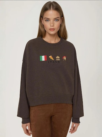 Hiccup - Sweatshirt em castanho: frente