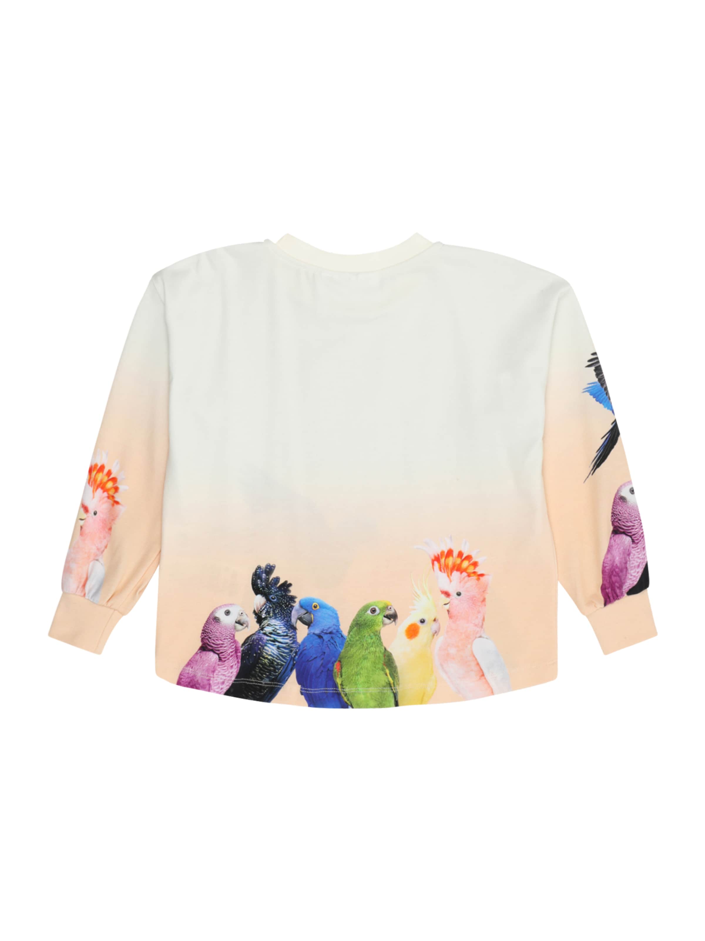 jauktas krāsas Molo T-Krekls 'Reniza'