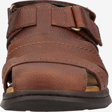 CLARKS Sandals in Brown