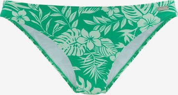 VENICE BEACH Bikini bottom in Green: front
