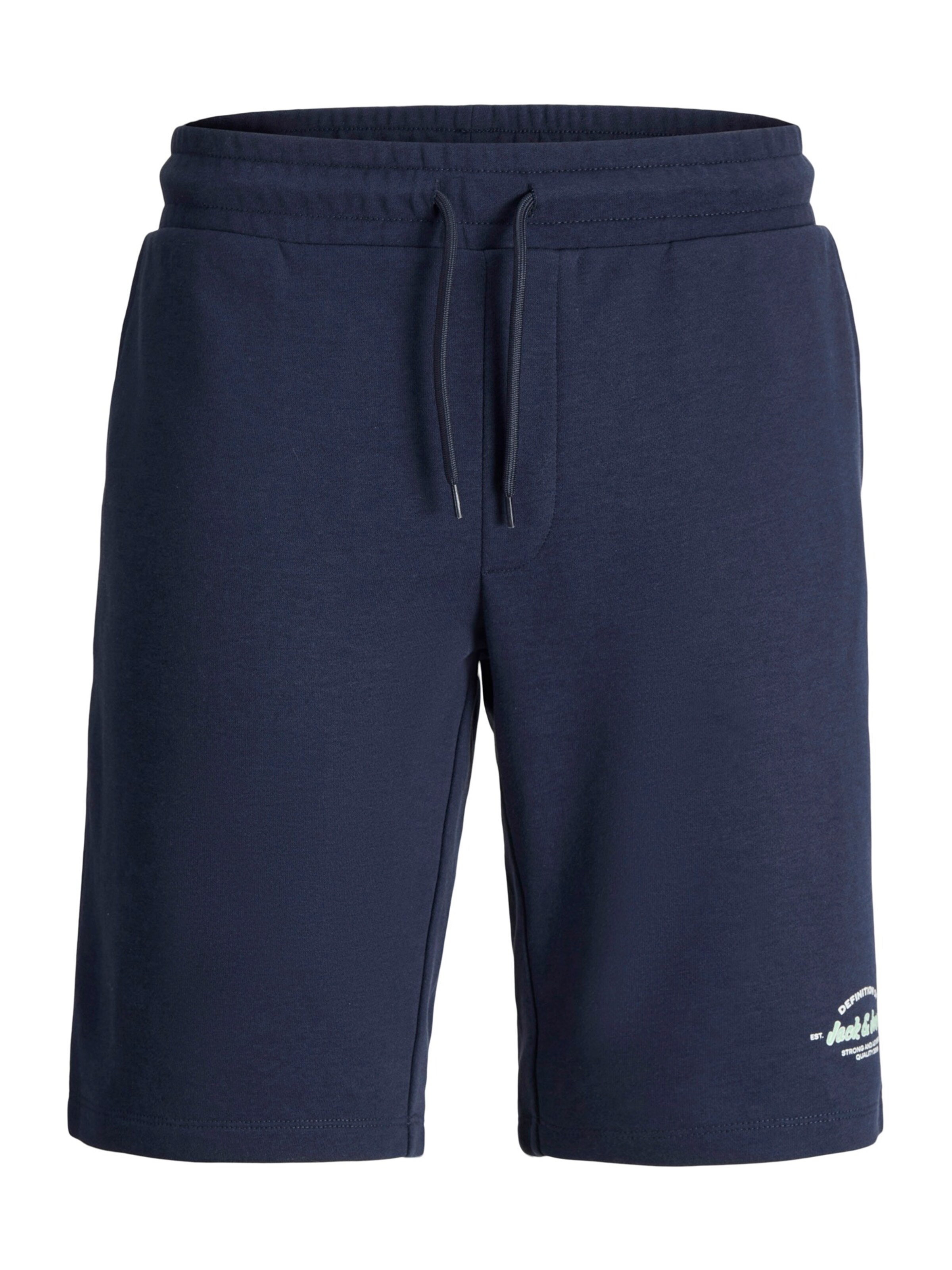 JACK & JONES - regular Pantalón 'JPSTGORDON BRANDON' en azul: frente