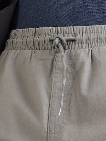 JACK & JONES Regular Byxa 'JPSTJAIDEN DREW' i grå