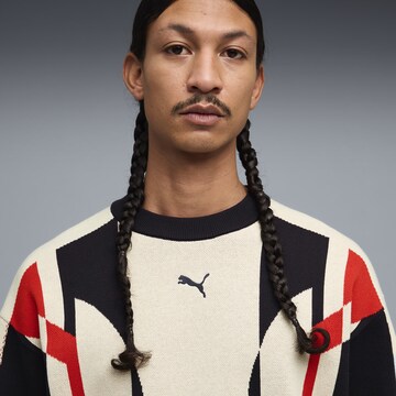 PUMA Pullover in Mischfarben