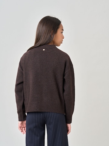 Pull-over Deeluxe en marron