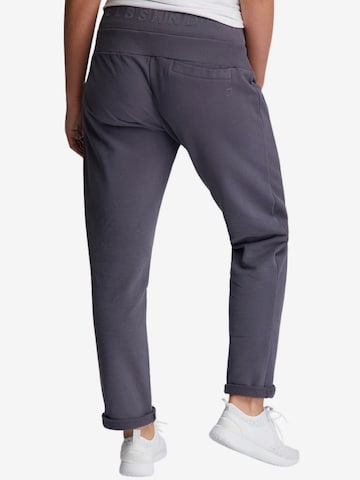 Regular Pantalon 'Brinja' Elbsand en gris