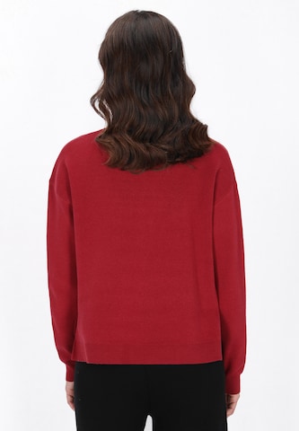 usha BLACK LABEL Pullover in Rot