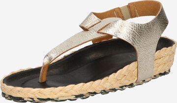 MAHONY T-Bar Sandals in Gold: front