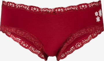 LASCANA Panty in Mixed colors