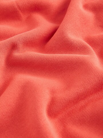 Next Sweatshirt in Red