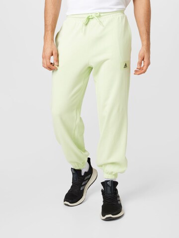 ADIDAS SPORTSWEAR Regular Workout Pants in Green: front