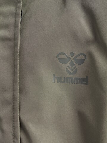 Hummel Trainingsanzug in Grün