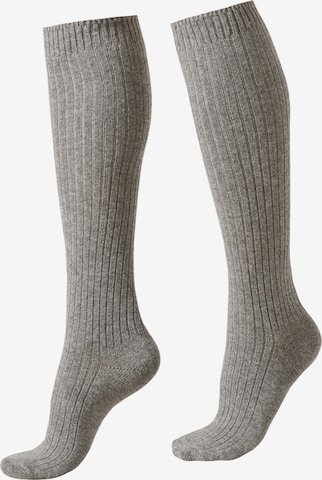 CALZEDONIA Knee High Socks in Grey: front