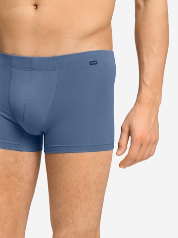 Hanro Boxershorts ' Cotton Essentials ' in Blauw
