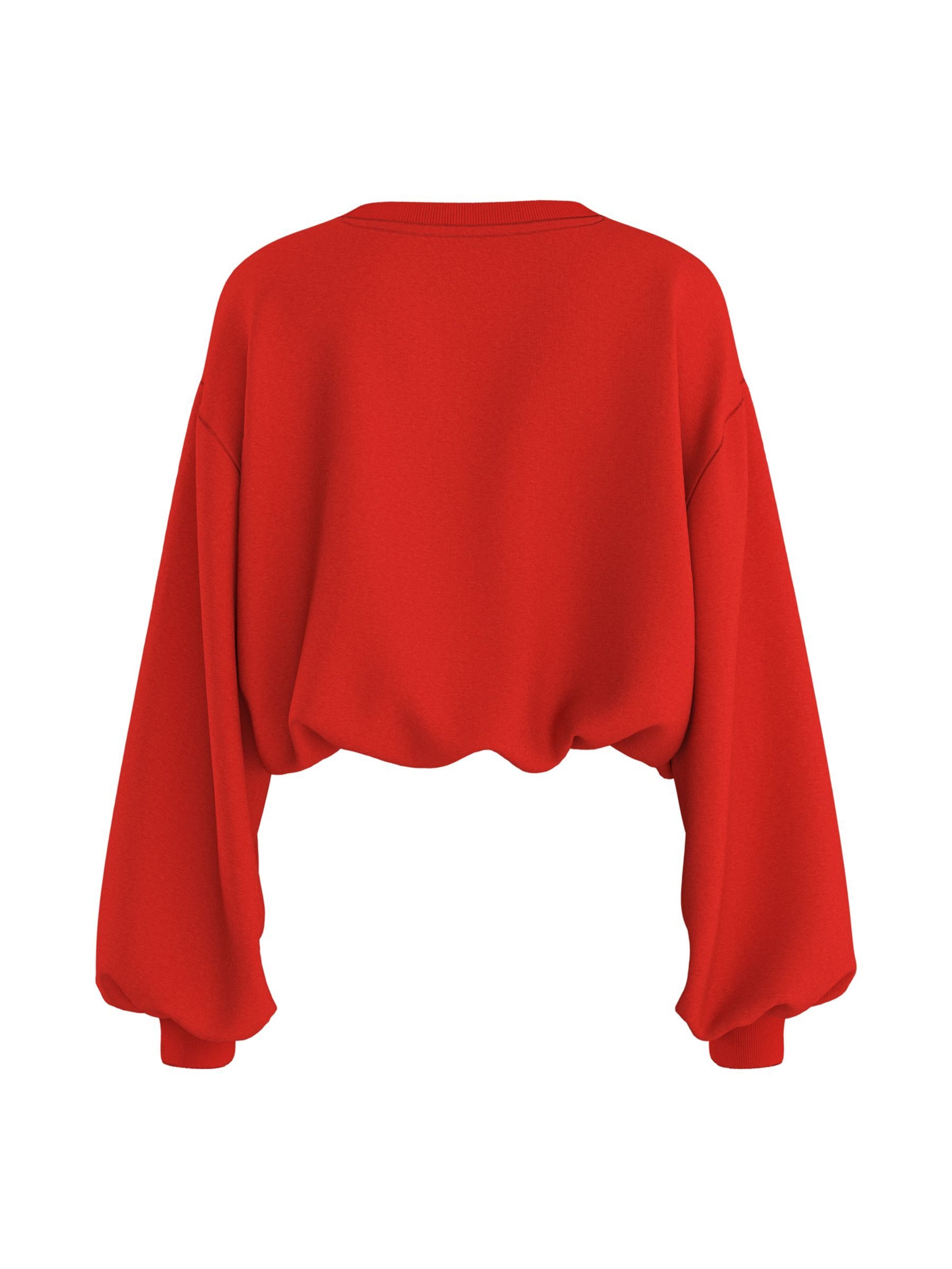 Sweat-shirt 'HDLinea Ballon' HYPEDROP en rouge