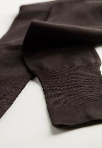 INTIMISSIMI Socks in Brown: front