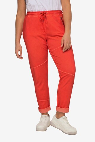 Angel of Style Regular Pants in Orange: front