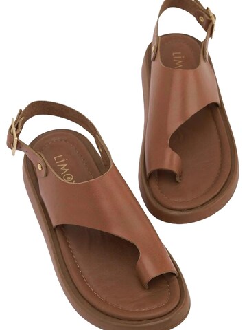 Limoya Sandals 'Damensandalen' in Brown
