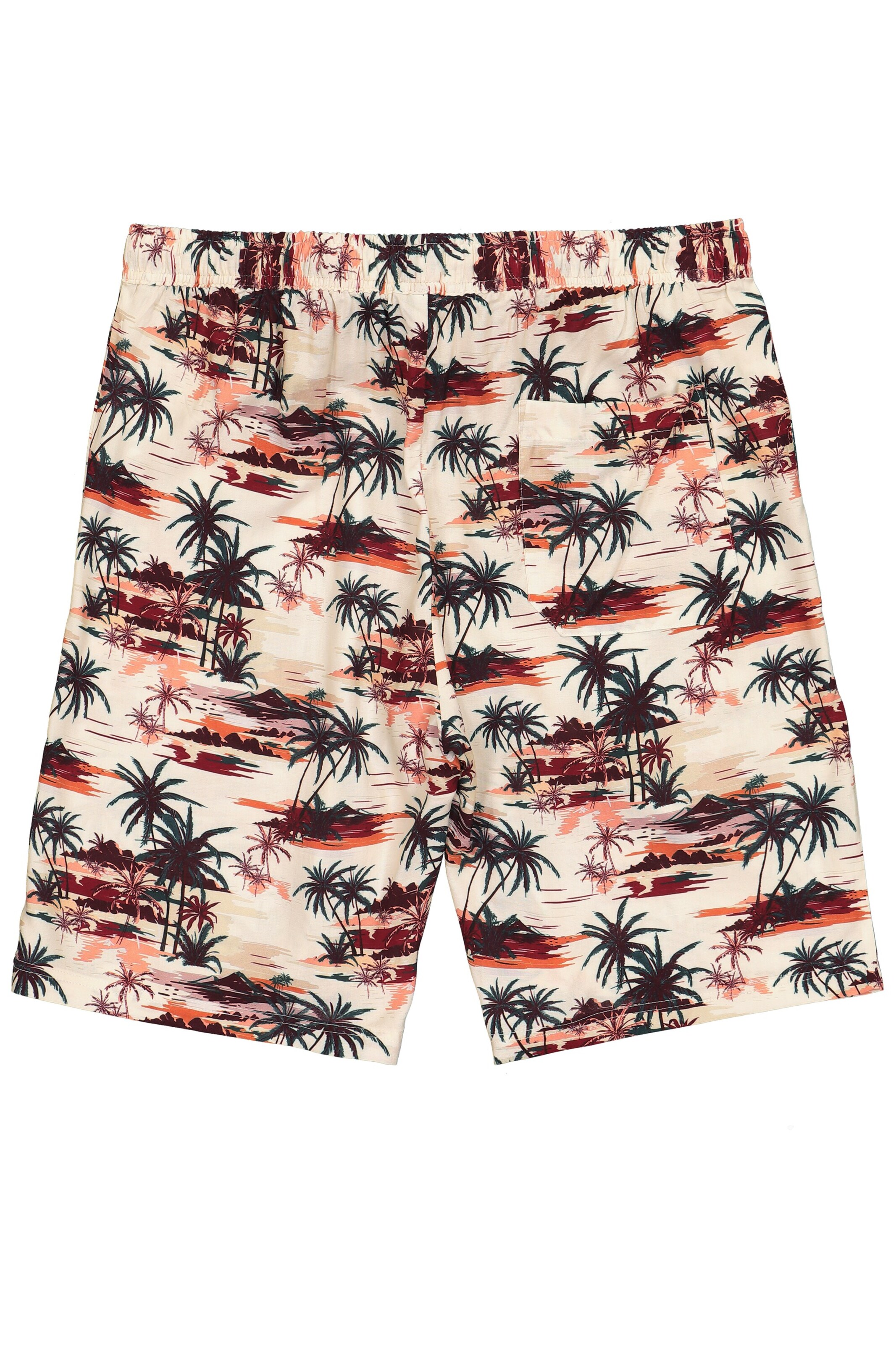 JP1880 Regular Trousers in Mixed colours
