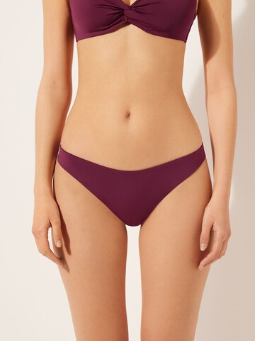 CALZEDONIA Bikinihose 'Indonesia' in Rot: Vorderseite
