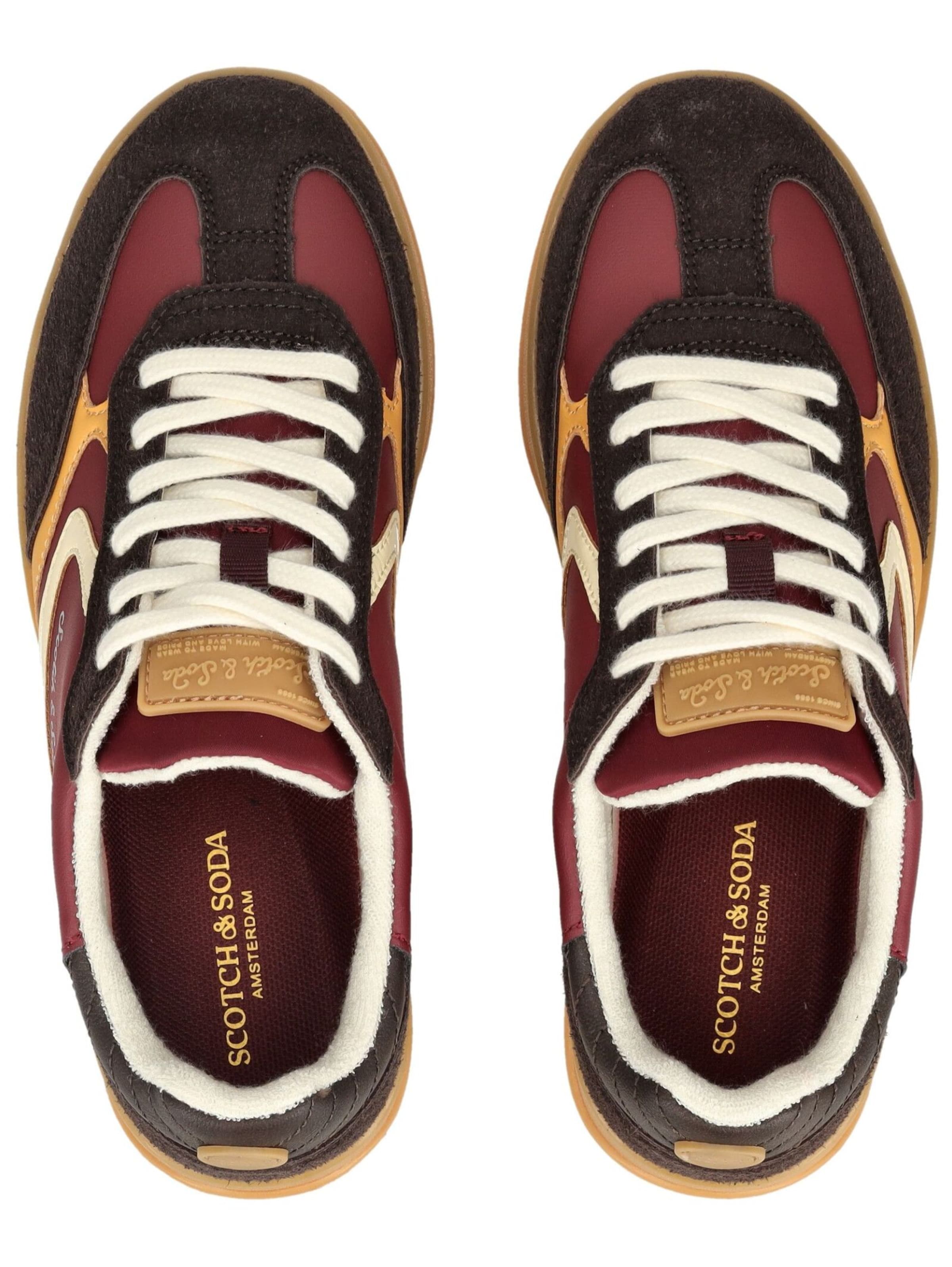 Baskets basses SCOTCH & SODA en marron
