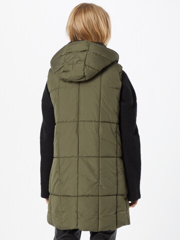 JDY Vest 'JDYDaisy' in Green