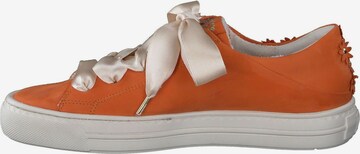 Paul Green Sneaker in Orange