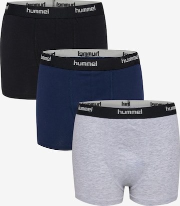 Hummel Underpants 'Nalle' in Blue: front