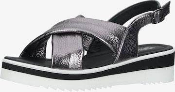 IGI&CO Strap Sandals in Grey: front