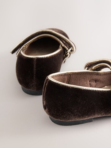 Next Ballerina in Brown
