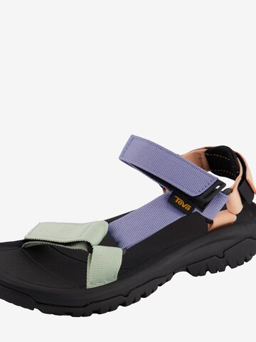 TEVA Pohodni sandali | vijolična barva
