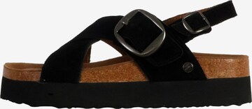 Sandales 'Shylo-Ledersandalen' terre de marins en noir : devant