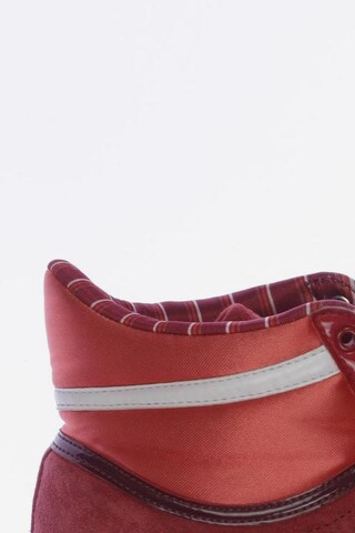 ADIDAS NEO Sneakers & Trainers in 39 in Red