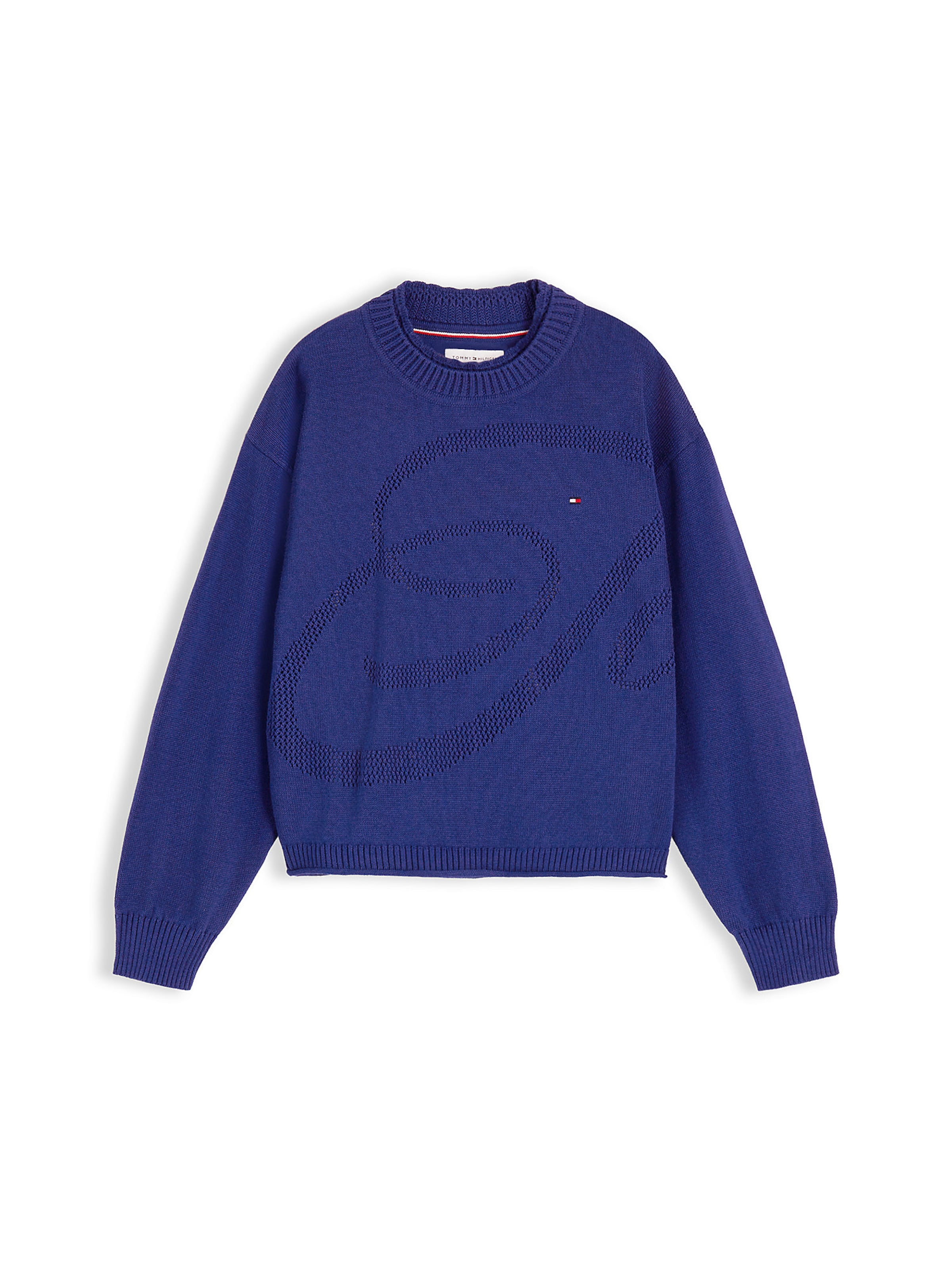 TOMMY HILFIGER Sweater in Blue: front