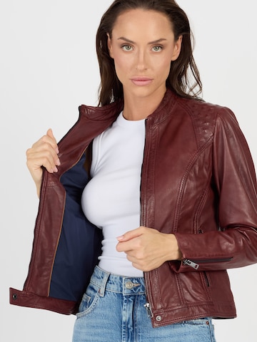 JCC Tussenjas in Rood