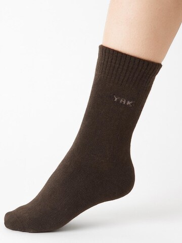 HomeOfSocks Socken 'HOS1006' in Braun