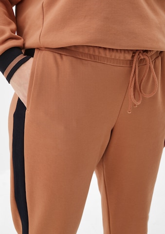 TRIANGLE Regular Pants in Brown