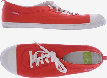 ADIDAS NEO Sneakers & Trainers in 40,5 in Red: front
