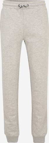FILA Zúžený Sportovní kalhoty – šedá: přední strana