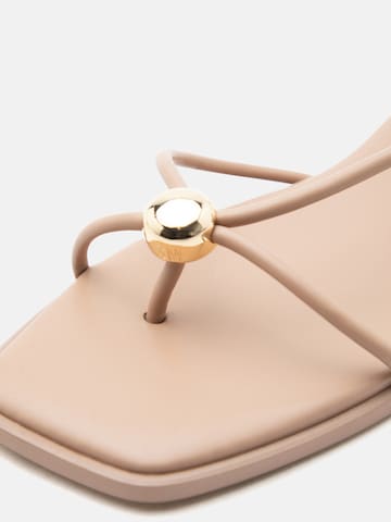 STEVE MADDEN Σαγιονάρες διχαλωτές 'Tiki' σε μπεζ