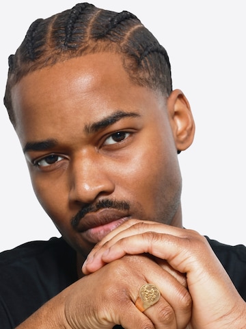 Heideman Ring 'Rurik' in Gold