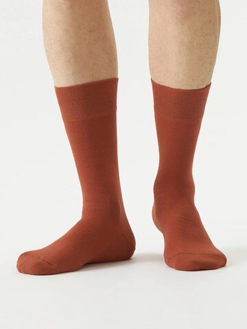 Von Jungfeld Socks 'Herbstfarben' in Brown