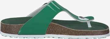 TAMARIS T-Bar Sandals in Green