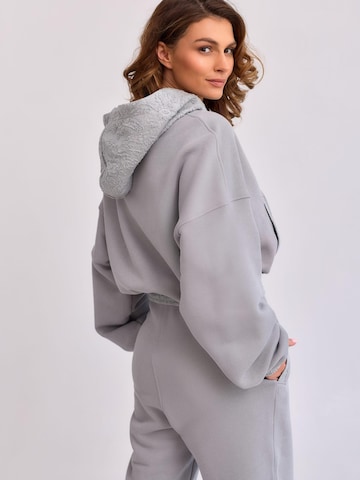 mandragora Sweatshirt 'LANTRE' in Grijs