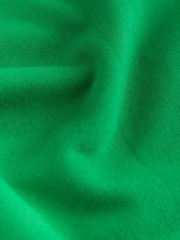 Next - Sudadera en verde