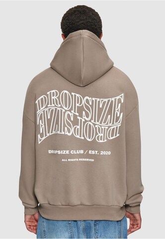 Dropsize Sweatshirt in Grau